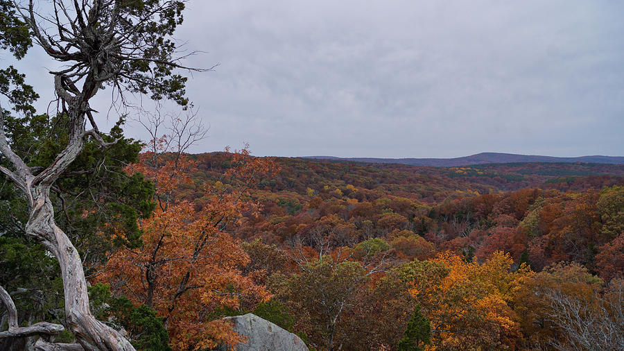 Autumn at Shawnee Forest Photograph by Sandy Keeton