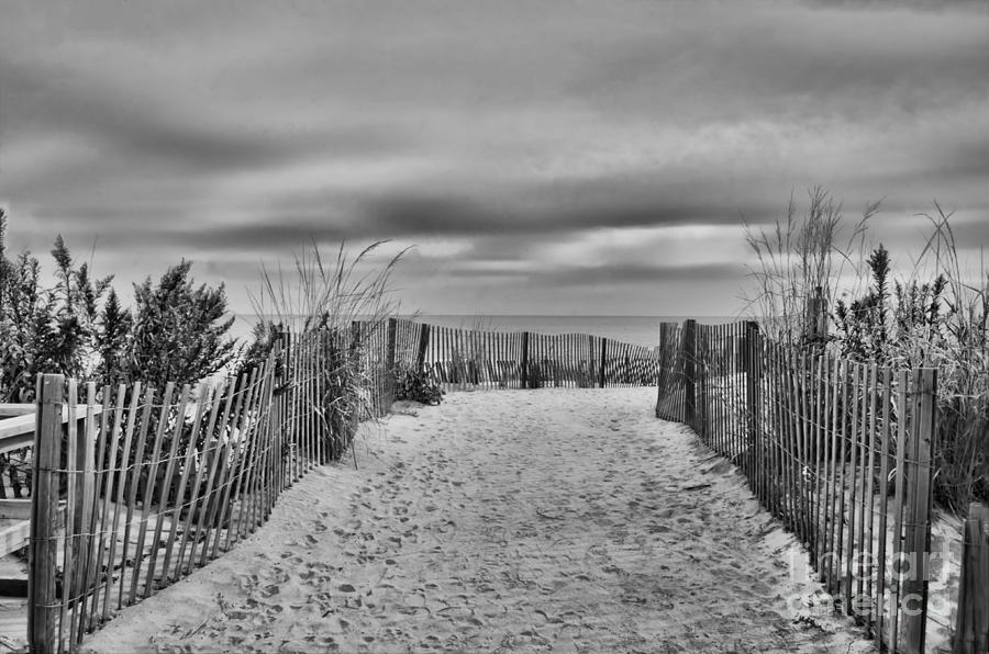 Autumn At The Beach B  W Photograph by Judy Wolinsky