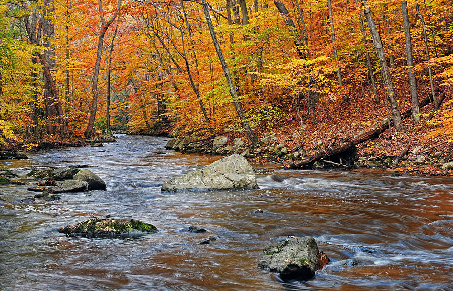 Fall Photograph - Autumn At The Black River by Dave Mills