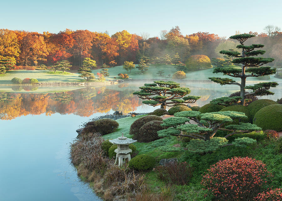Autumn At The Chicago Botanic Garden Photograph by N. Vivienne Shen Photography