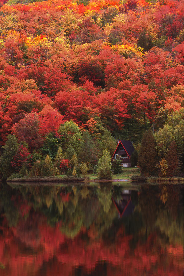 Autumn at the Lake Photograph by Alan Marsh