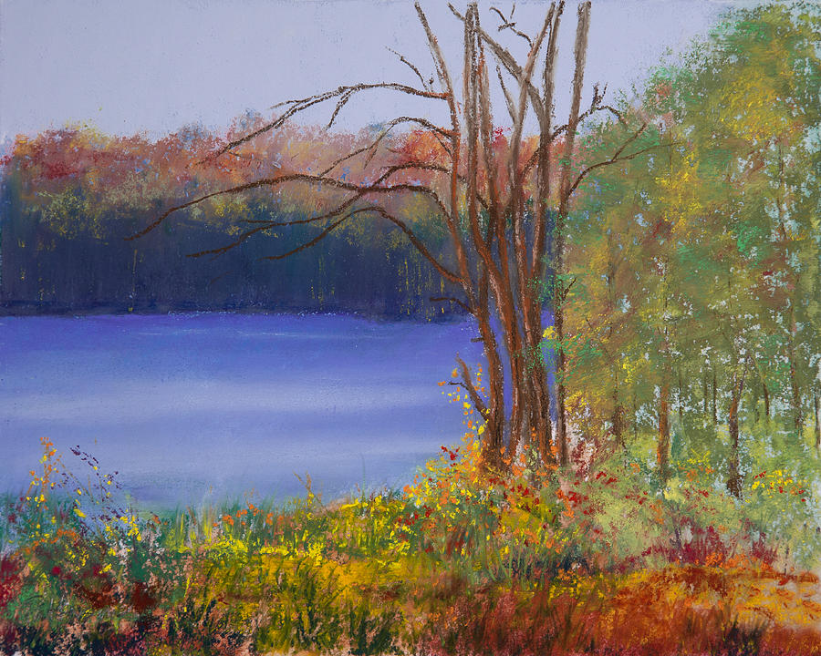 An Autumn Day at Cary Lake Painting by David Patterson