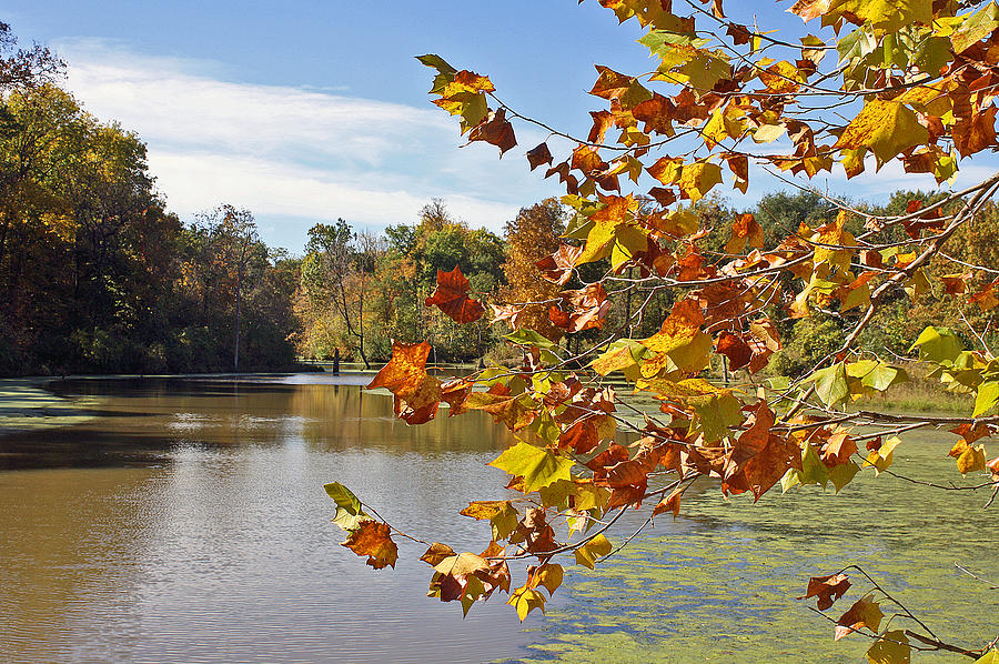 Autumn at the Lake Photograph by Ellen Tully