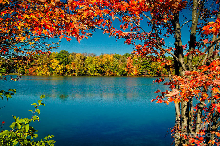 Autumn at the Lake Photograph by Tony Gliatta - Fine Art America