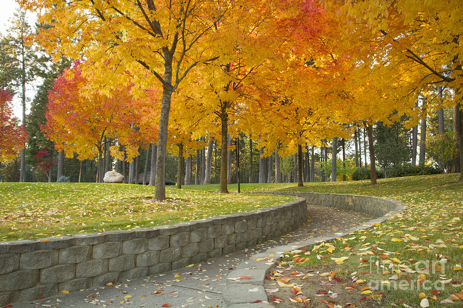 Autumn at the Park Photograph by Idaho Scenic Images Linda Lantzy