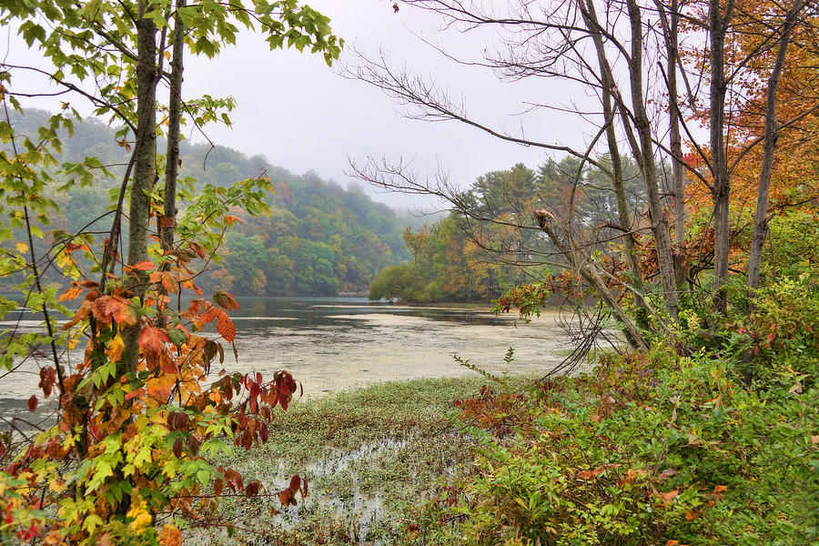 Autumn At The Reservoir Photograph