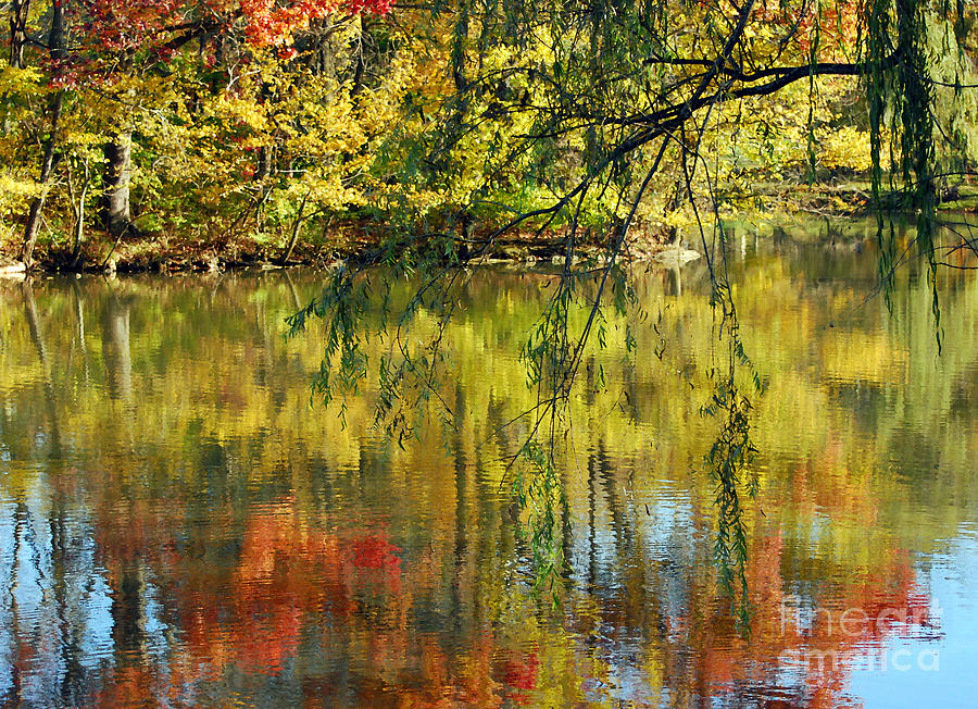 Autumn at Virginia Tech Duck Pond  Photograph by Kerri Farley