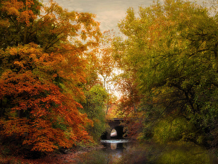 Autumn Attraction Photograph by Jessica Jenney