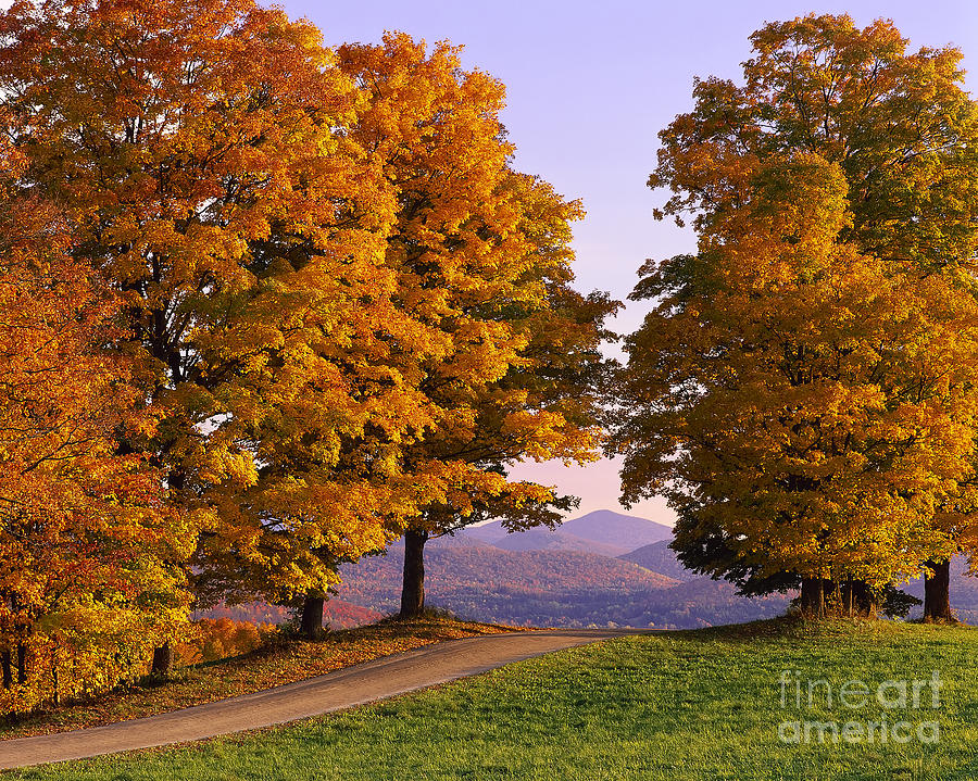 Autumn Backroad View Photograph by Alan L Graham