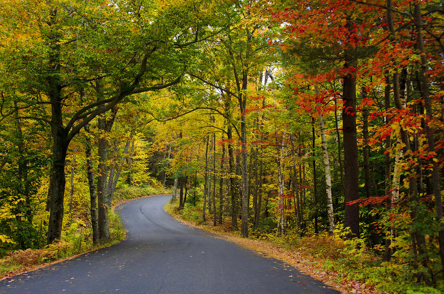 Fall Photograph - Autumn Backroads in New England by Donna Doherty