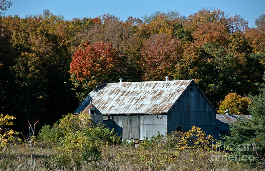 Autumn Barn Photograph by Cheryl Baxter