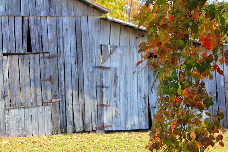 Fall Photograph - Autumn Barn by Karen Wagner
