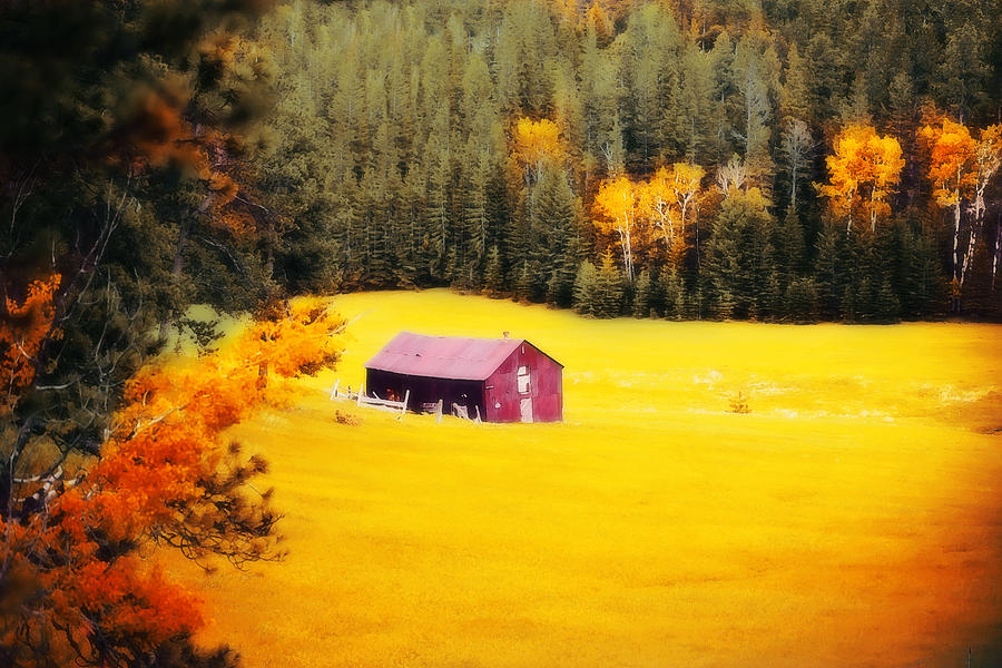 Fall on a South Dakota Meadow Photograph by Amanda Smith