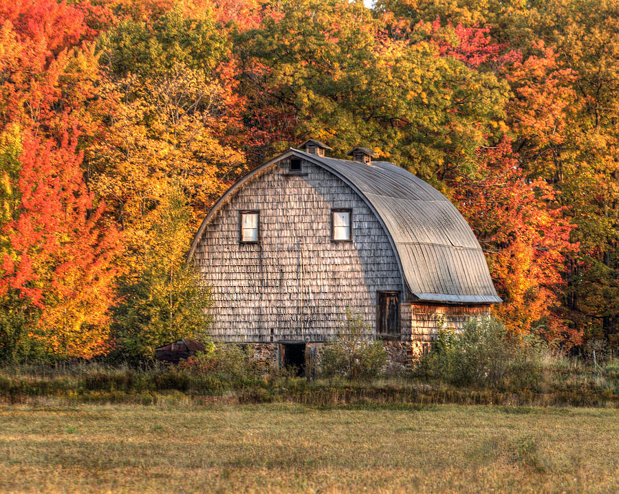 Autumn Barn Photograph by Patricia Dennis