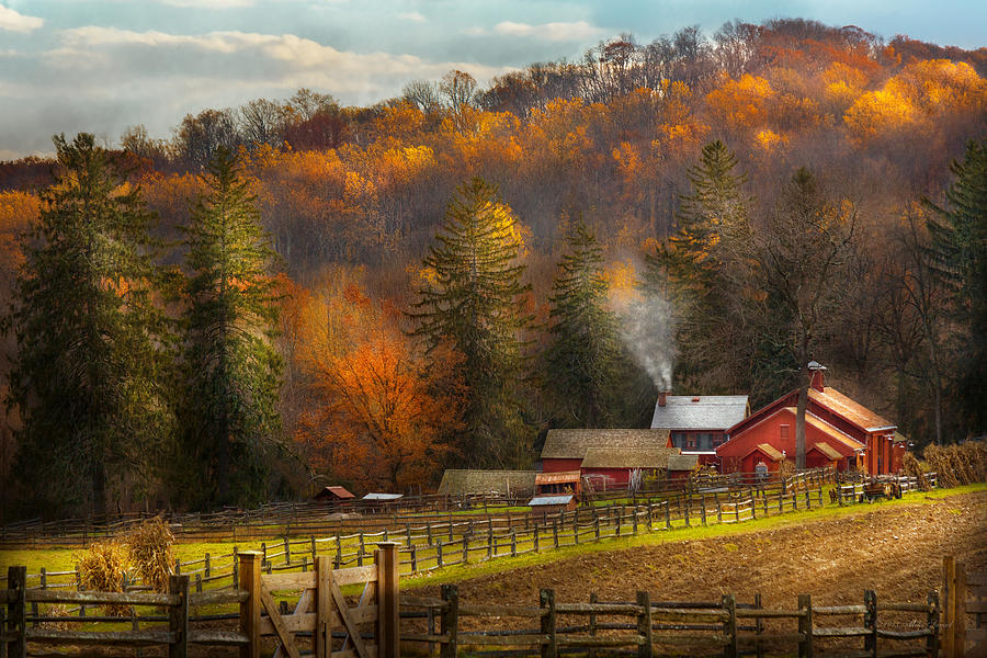 Tree Photograph - Autumn - Barn - The end of a season by Mike Savad