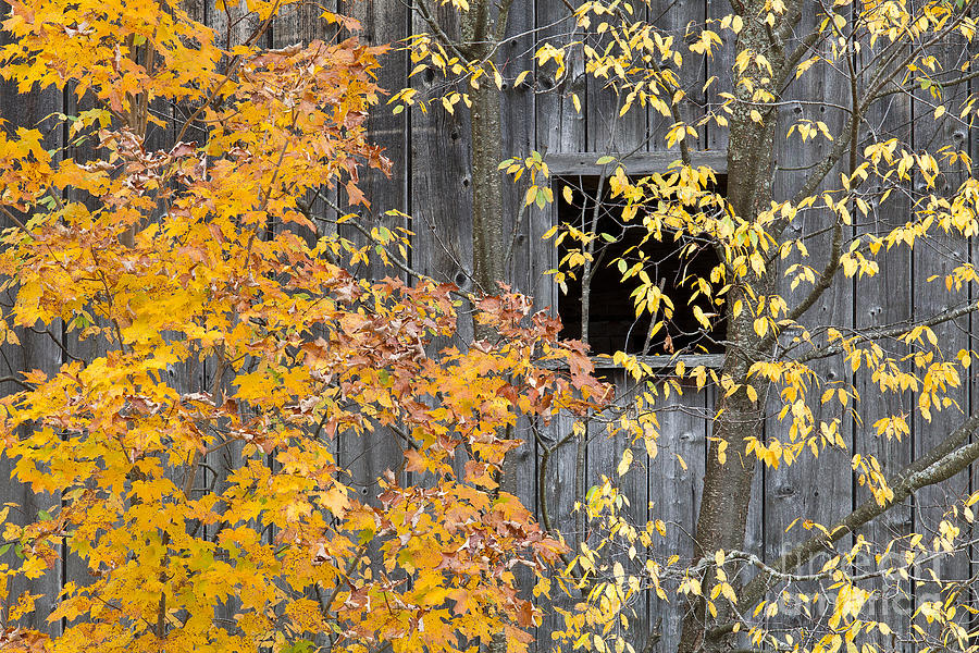Autumn Barn Window Photograph by Alan L Graham