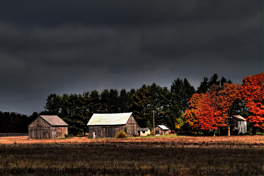 Autumn Barns Photograph by Richard Gregurich