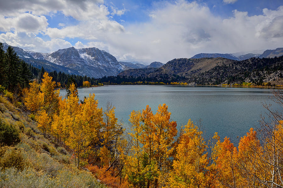 Autumn Beauty at June Lake Photograph by Mark Whitt