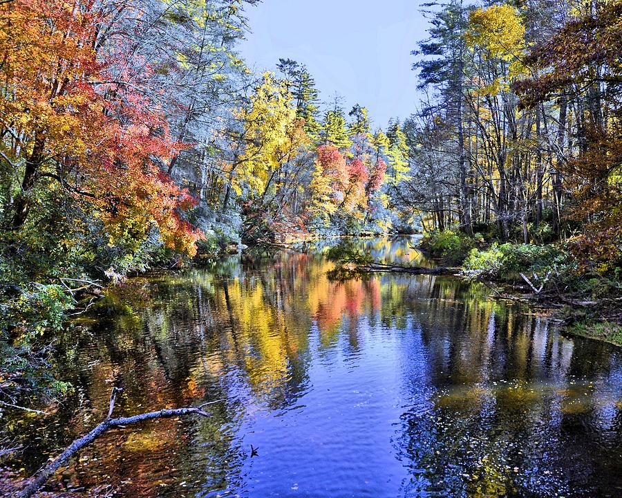 Autumn Beauty Photograph by Bill Hosford