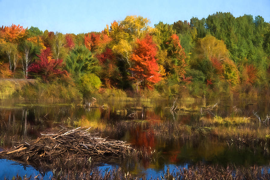 Autumn Beaver Pond Reflections Digital Art by Georgia Mizuleva