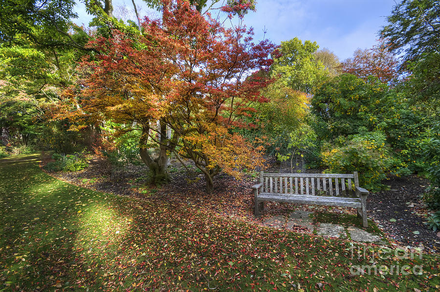 Impressionism Photograph - Autumn Bench by Darren Wilkes