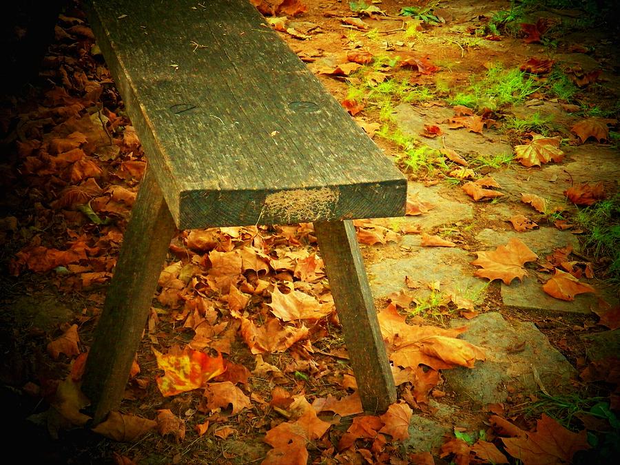 Nature Photograph - Autumn Bench by Joyce Kimble Smith