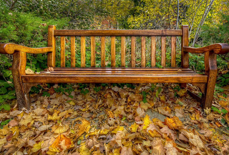 Autumn Bench Photograph by Peter Lakomy