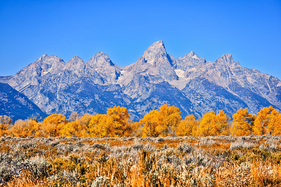 Autumn Beneath the Tetons Photograph by Greg Norrell