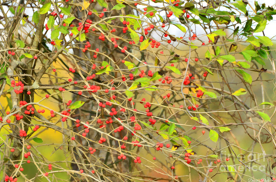 Autumn Berries Digital Paint Photograph by Debbie Portwood