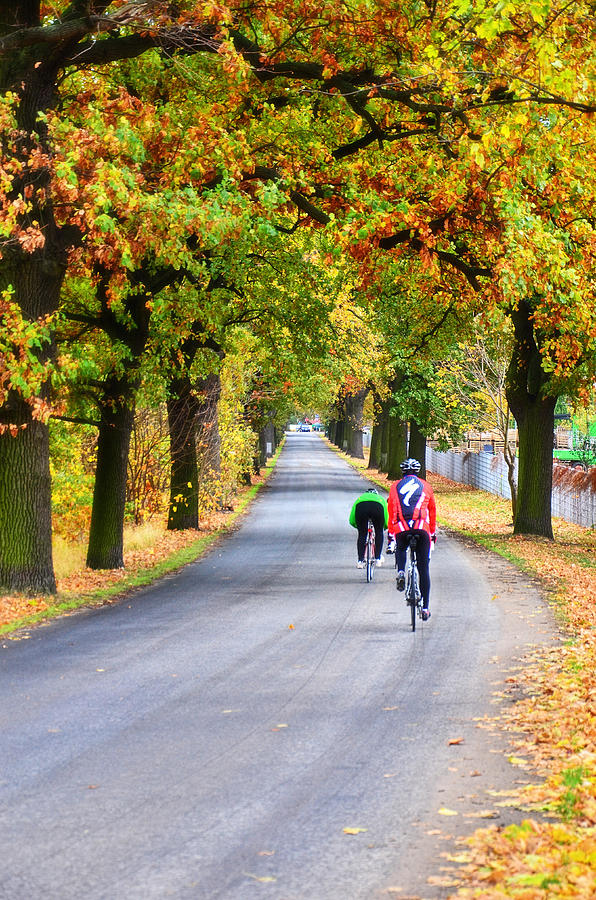 Autumn Photograph - Autumn Bicyclists by Gynt Autumn Photograph - Autumn Bicyclists by Gynt