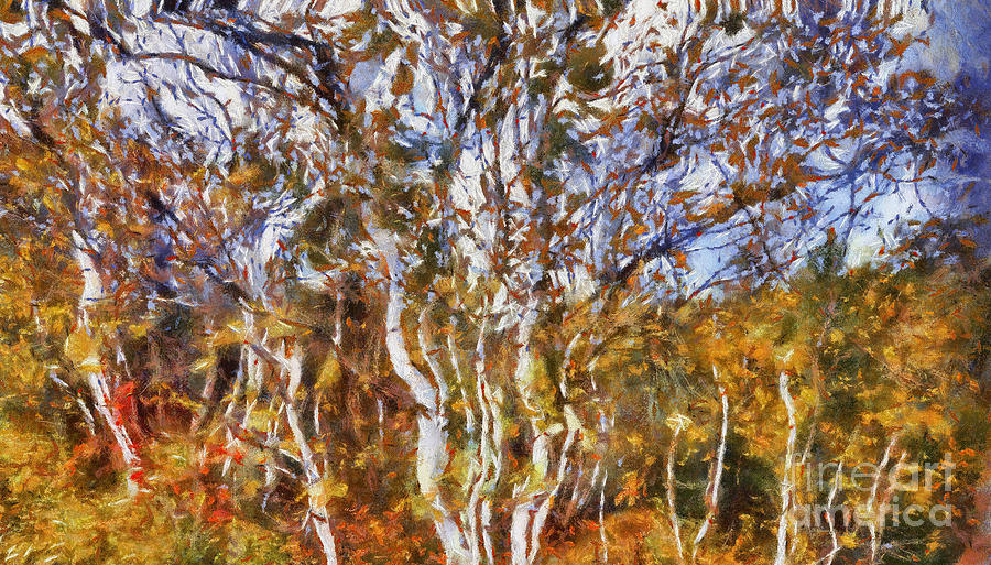 Tree Painting - Autumn Birch  by Elaine Manley