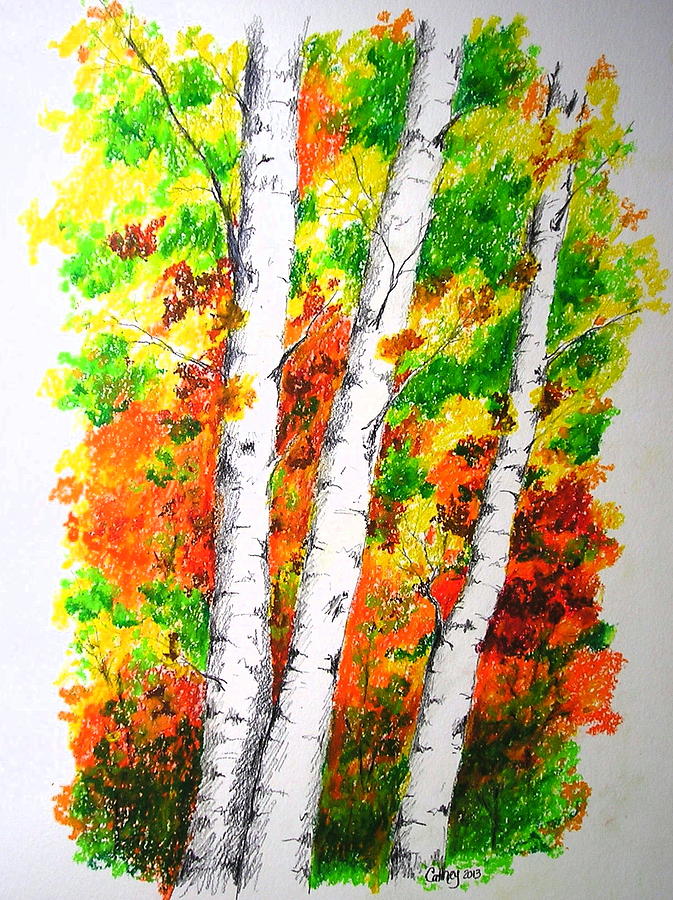 Autumn Birches Mixed Media by Catherine Howley