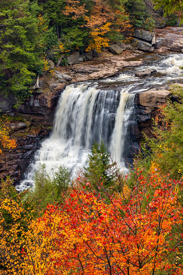 Autumn Blackwater Falls Photograph by Steve Harrington