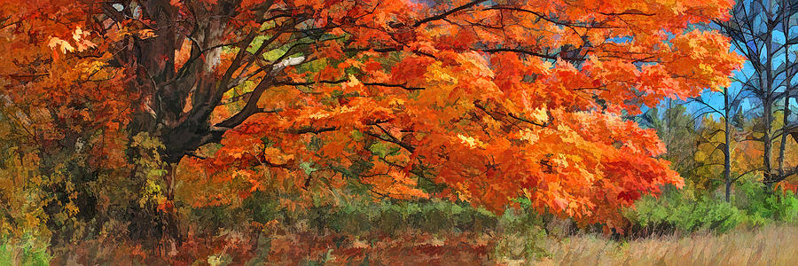 Autumn Blaze Panorama Painting by Christopher Arndt