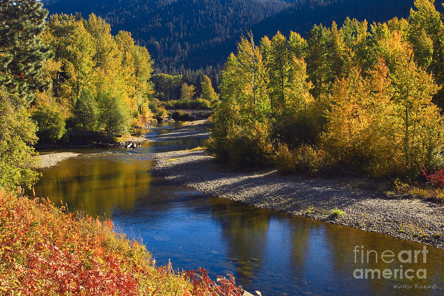 Autumn Blaze Photograph by Winston Rockwell - Fine Art America