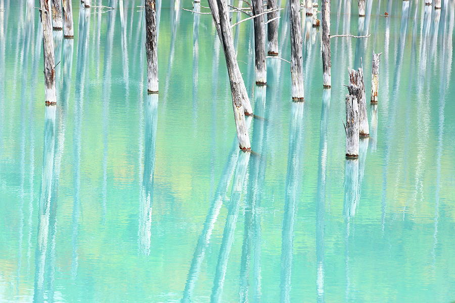 Autumn Blue Pond Photograph by Tsuntsun