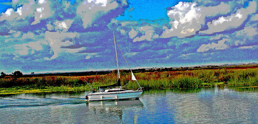 Autumn Blue Skys on the Delta Photograph by Joseph Coulombe