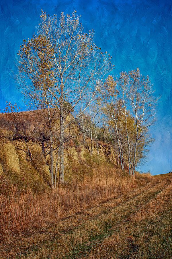 Autumn Bluff Painted Photograph by Nikolyn McDonald