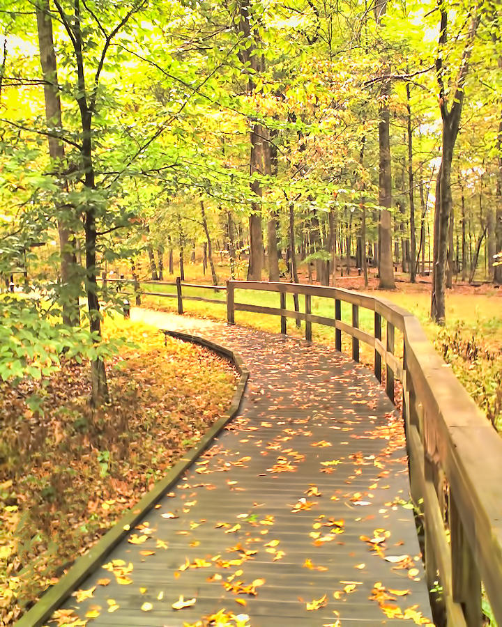 Autumn Boardwalk at Mammoth Cave National Park Photograph by Greg Jackson
