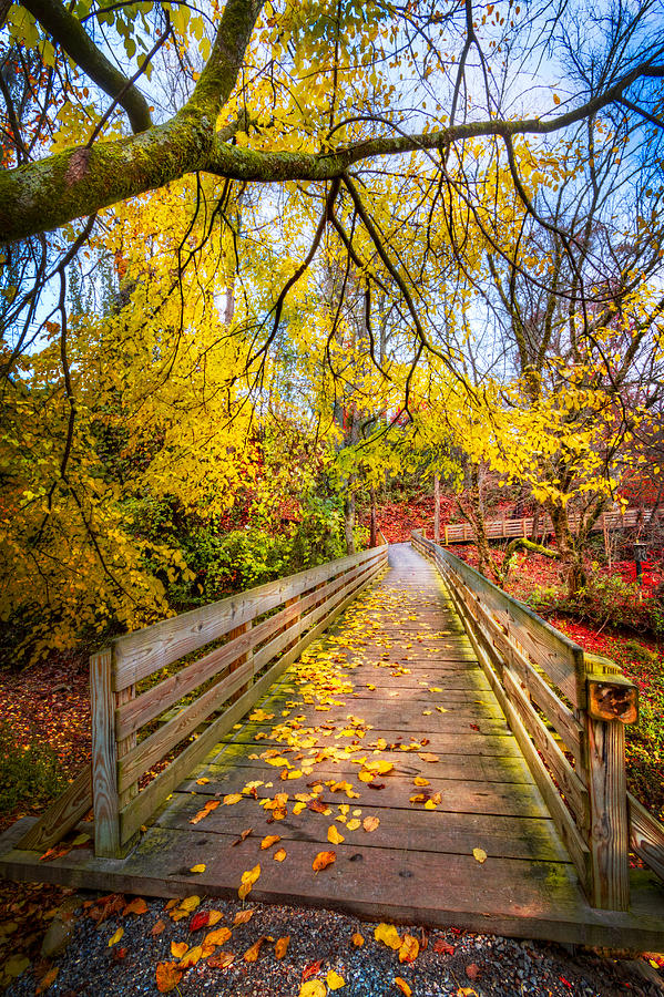 Fall Photograph - Autumn Boardwalk by Debra and Dave Vanderlaan