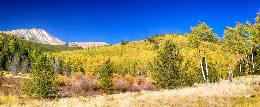 Autumn Bonanza Panorama Photograph by James BO Insogna