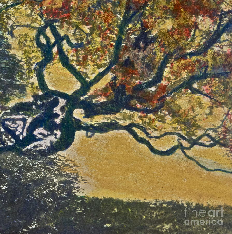 Black And White Mixed Media - Autumn Bonsai Tree - lithograph by Deborah Talbot - Kostisin