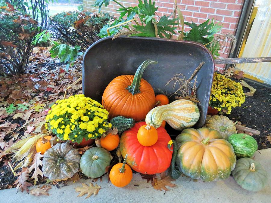 Autumn Bounty Photograph by Jeanette Oberholtzer