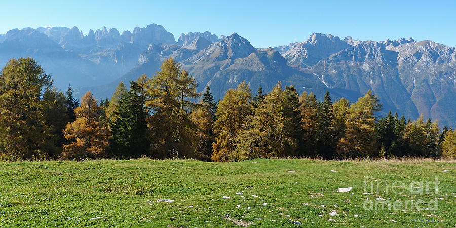 Autumn - Brenta Dolomites - Italy Photograph by Phil Banks