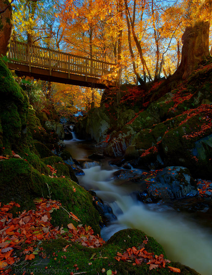 Autumn bridge Photograph by B Cash