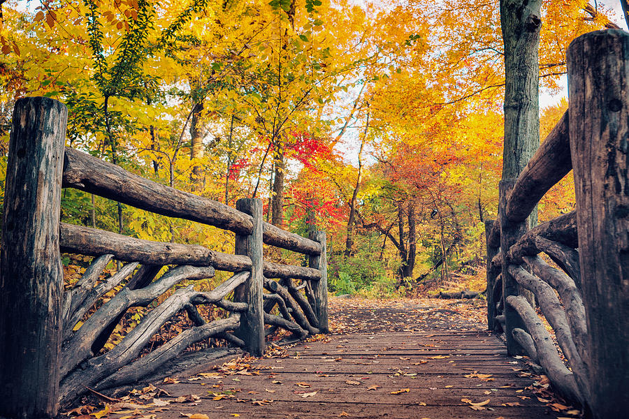 Autumn Bridge - Central Park - New York City Photograph by Vivienne Gucwa