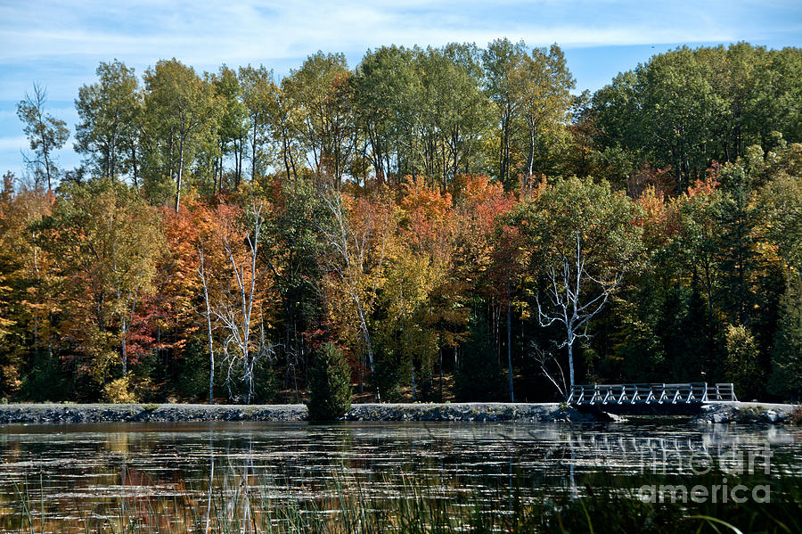 Autumn Bridge Photograph by Cheryl Baxter
