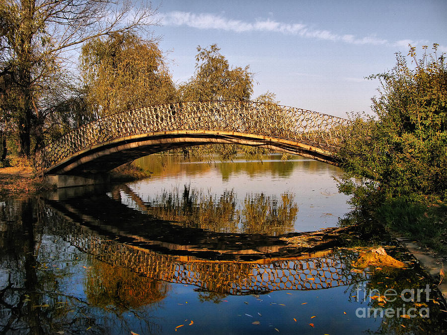 Autumn Bridge in Romania Photograph by Daliana Pacuraru
