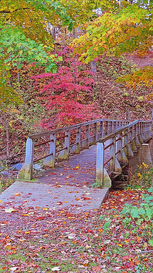 Autumn Bridge Photograph by Kay Novy