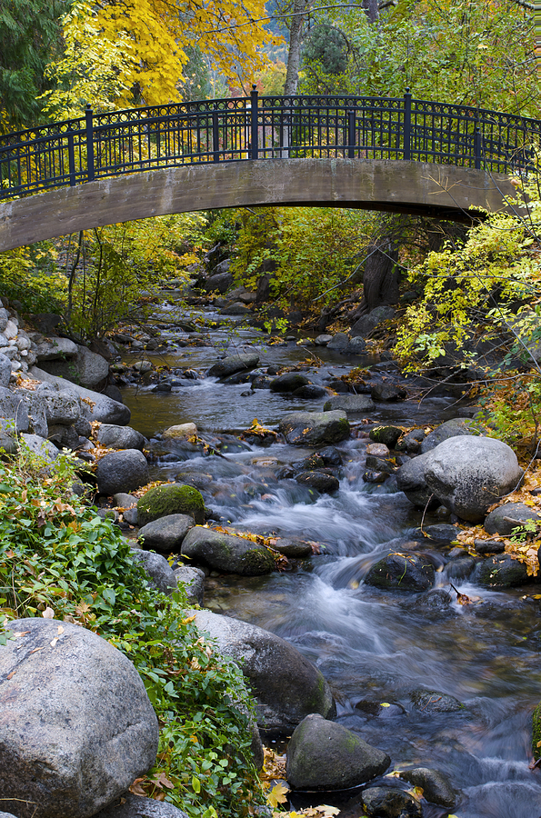 Autumn Bridge Photograph by Loree Johnson